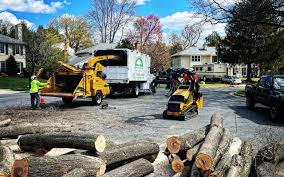 Leaf Removal in Monroe Manor, NJ